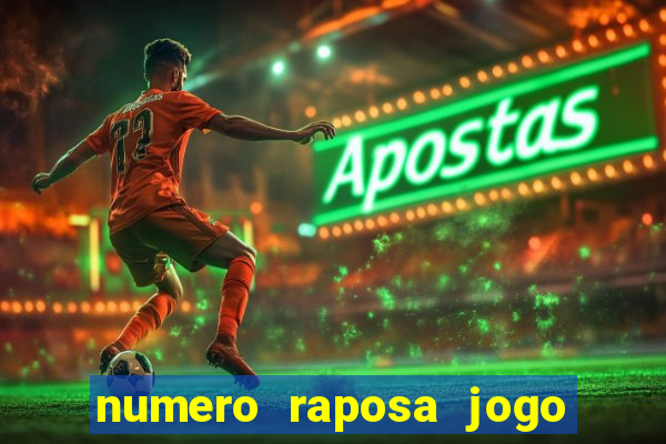 numero raposa jogo do bicho